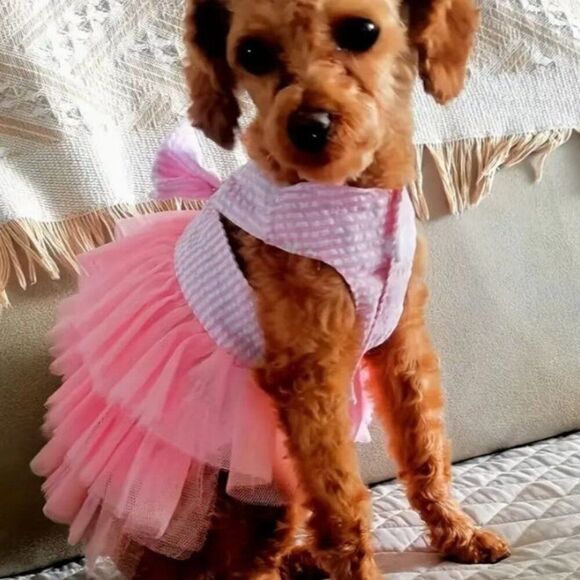 Pink Dog cat Pet Dress‎ XL with Bow NWOT - Picture 2 of 5